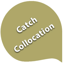 کالوکیشن های رایج انگلیسی با فعل catch